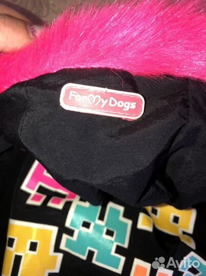 Одежда для собак