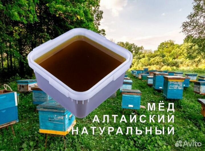 Мёд натуральный из Алтая оптом