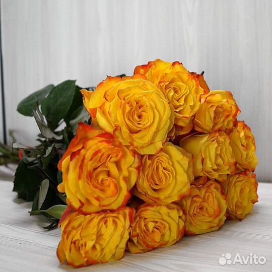 Роза high yellow 80 см