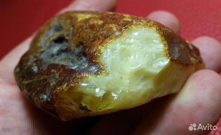 Балтийский Янтарь (Белый, Пейзаж)