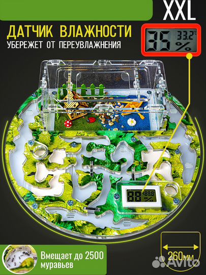 Муравьиная ферма Круглая Макси