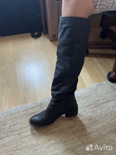 Сапоги женские