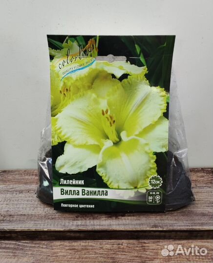 Лилейники сортовые