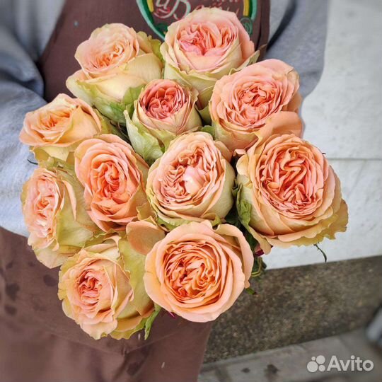 Доставка роз новорос 21роза красивый букет роз