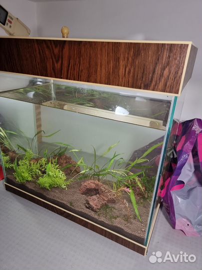 Аквариум