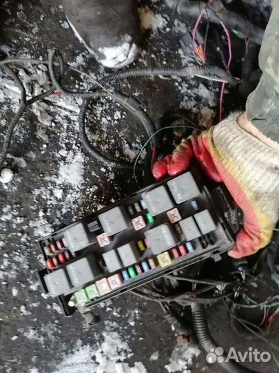 Проводка вортекс эстина 2л 10г