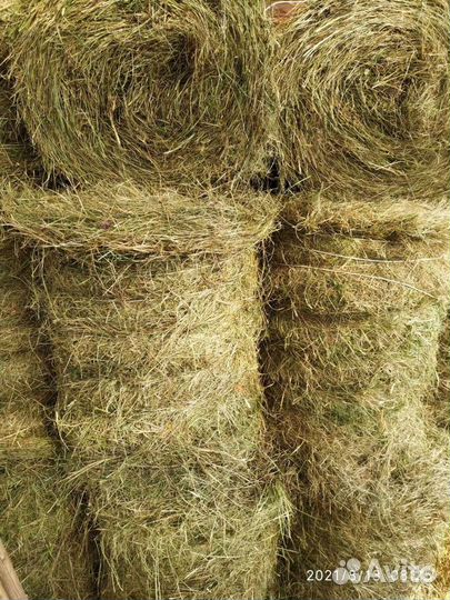 Сено в рулонах с доставкой