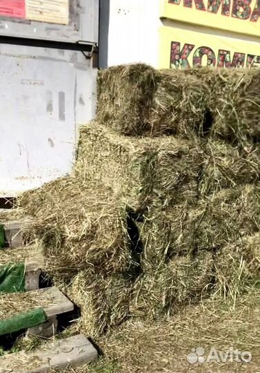 Сено в тюках