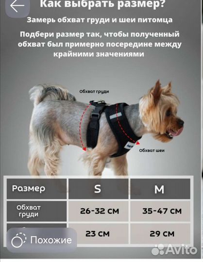 Шлейка для средней собаки