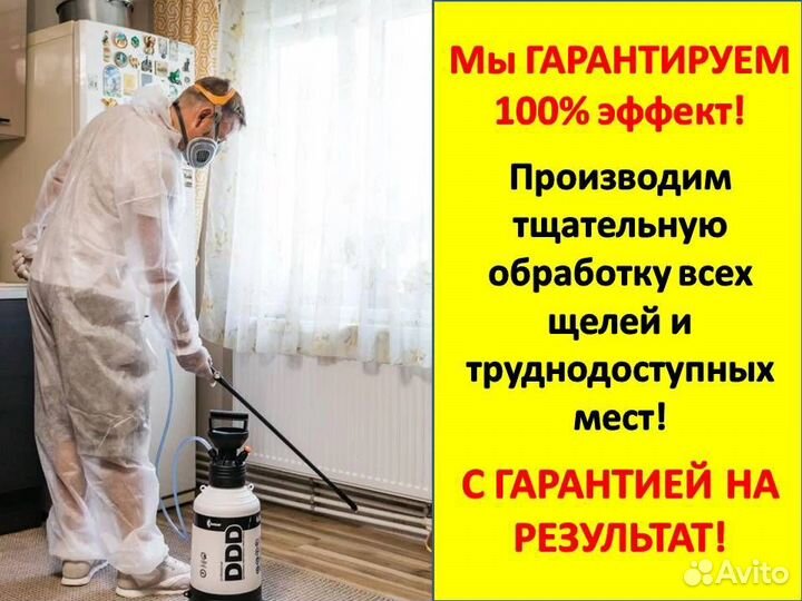 Уничтожение тараканов, клопов, блох, мышей 24/7