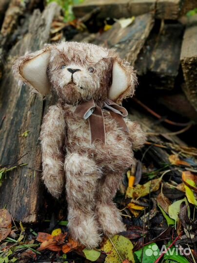 Тедди щенок