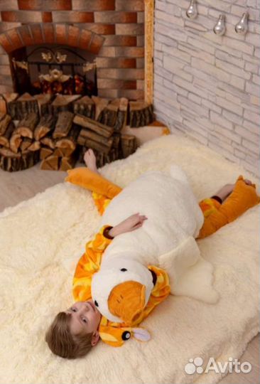 Гусь обнимусь