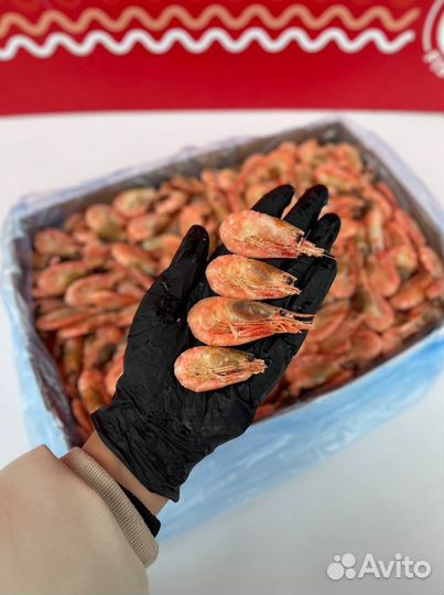Креветки северные 90 120