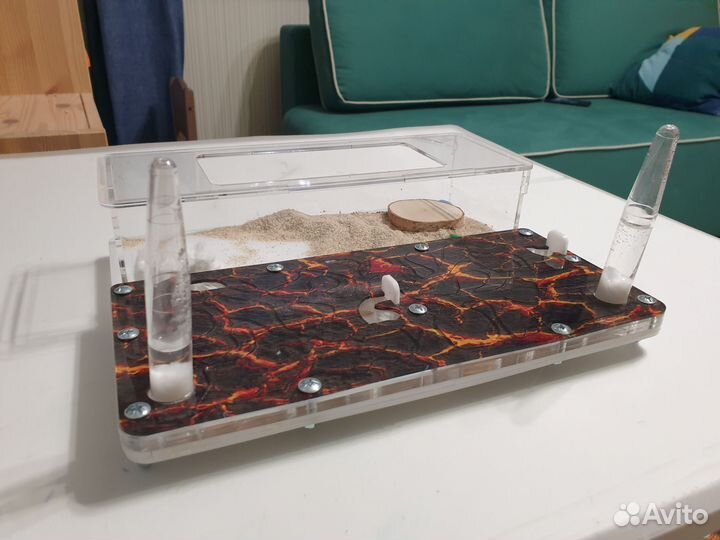 Муравьиная ферма