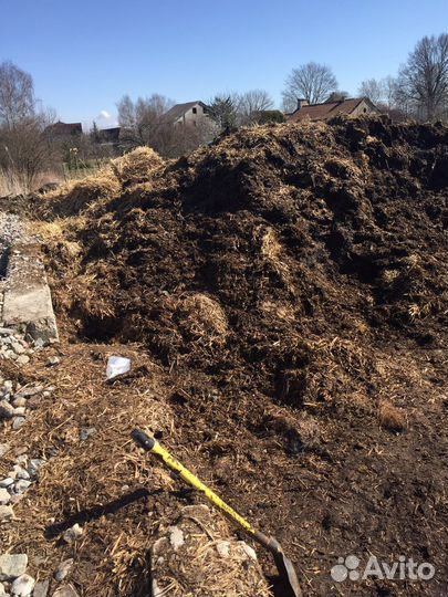 Конский Коровий Навоз