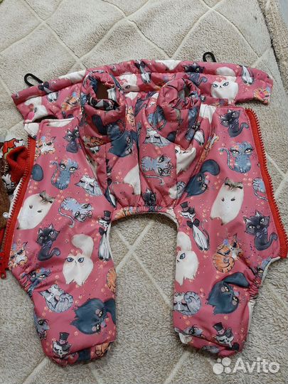 Одежда для собак