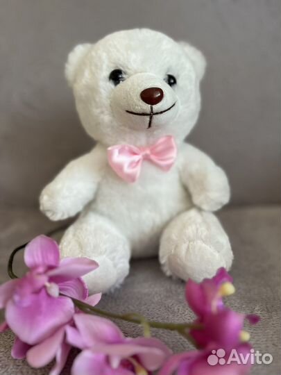 Медвежонок с секретом