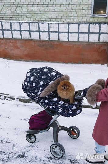 Коляска stokke xplory