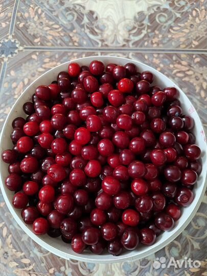 Вишня свежая