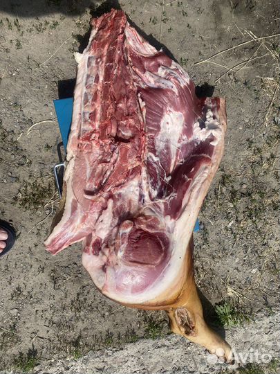 Домашняя свинина