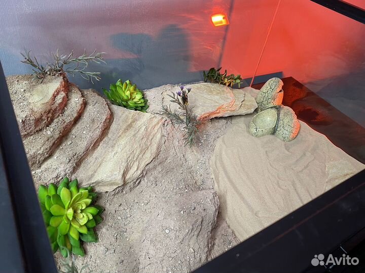 Готовые террариумы-хабитаты