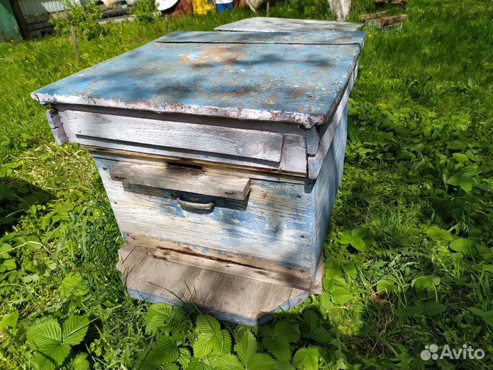 Ульи для пчел