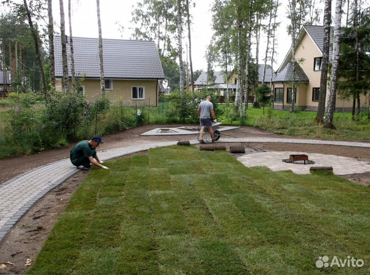 Рулонный газон в наличии