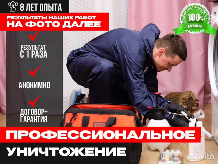 Уничтожение клопов, тараканов. Дезинфекция