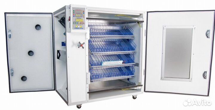 Выведу любое яйцо