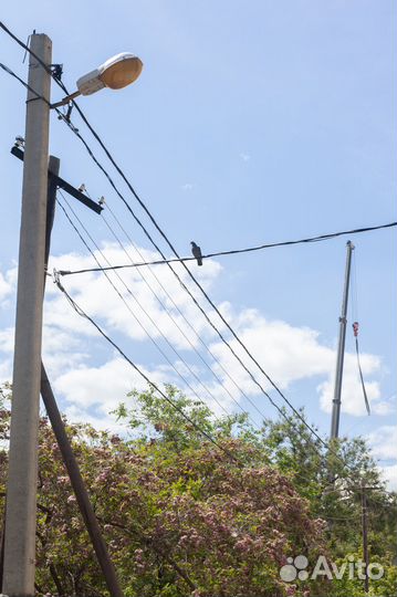 Объектив canon ef 50 mm f 1.8