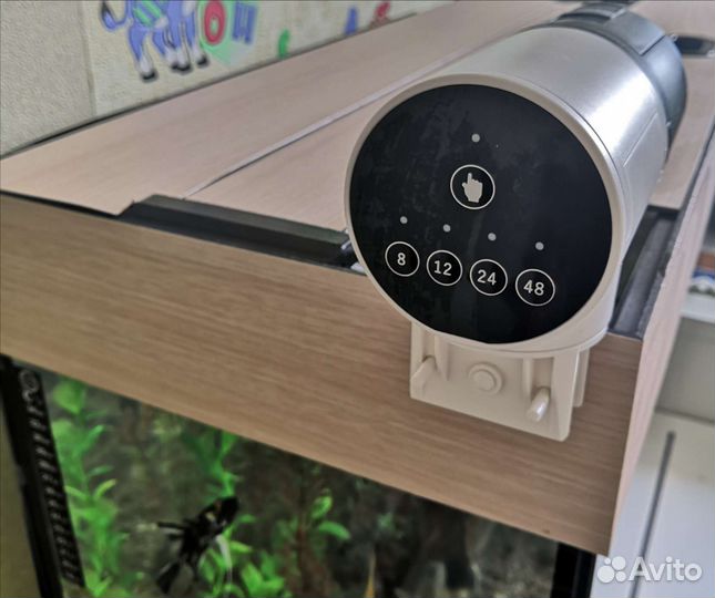 Аквариумные рыбки отдам