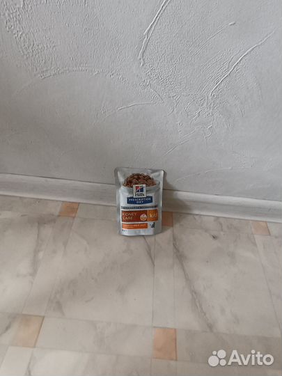 Корм для кошек