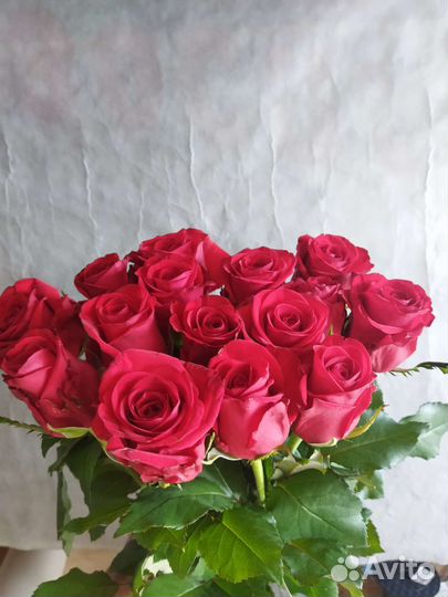 Розы с доставкой на дом г. Выборг
