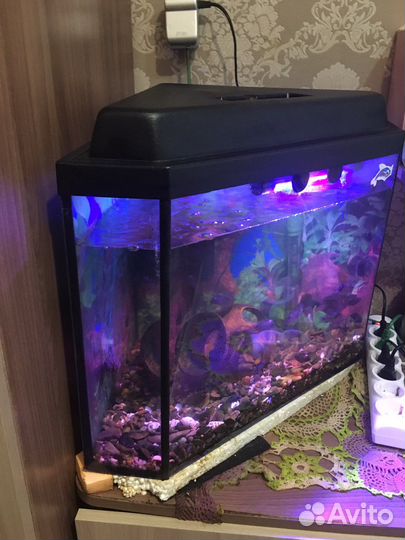 Аквариум