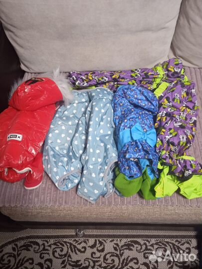 Куртки для собак