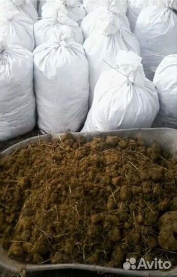 Конский навоз