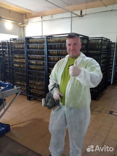 Уничтожение клопов, тараканов в Москве