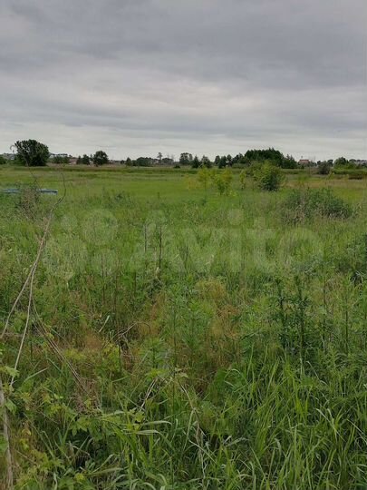 Участок 30 сот. (ИЖС)