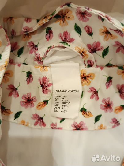 Ветровки для девочки