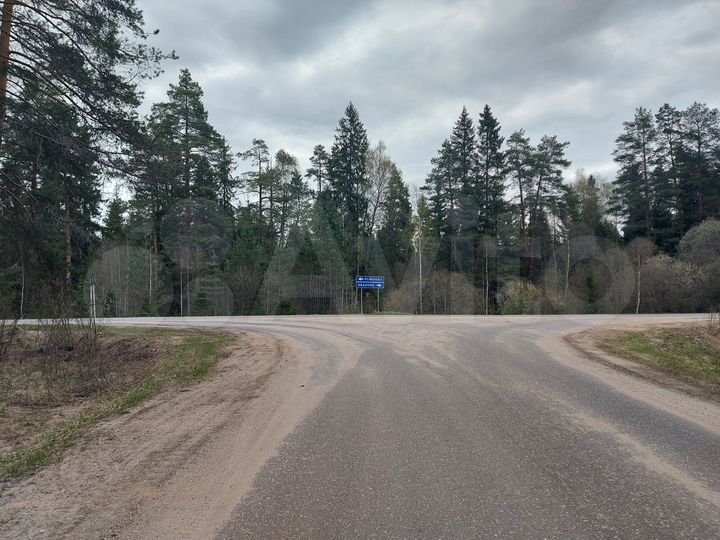 Участок 46 сот. (СНТ, ДНП)