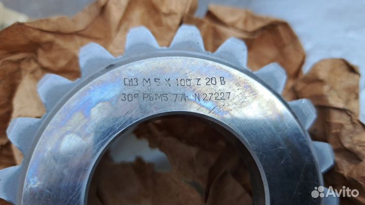 Долбяк чашечный