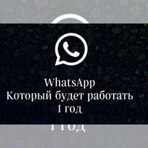 Whatsapp Plus