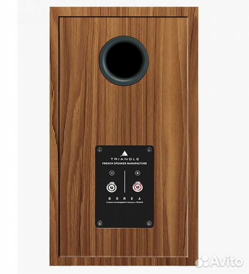 Полочная акустика Triangle borea BR02 BT Oak Green