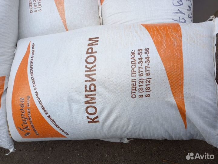 Молодняк коз старше 3 месяц