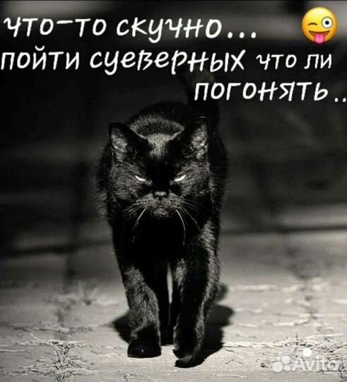 Закойшик на производство