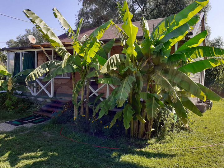 Дом 60 м² на участке 14 сот.