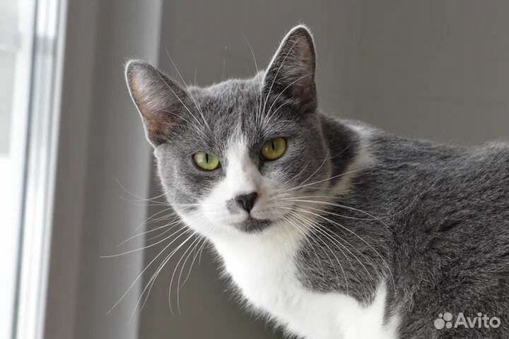 Прекрасная девочка Бусинка