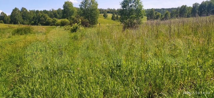 Участок 10 сот. (СНТ, ДНП)