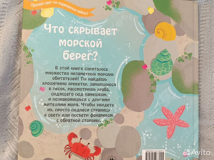 Кэррон Браун. Что скрывает берег морской