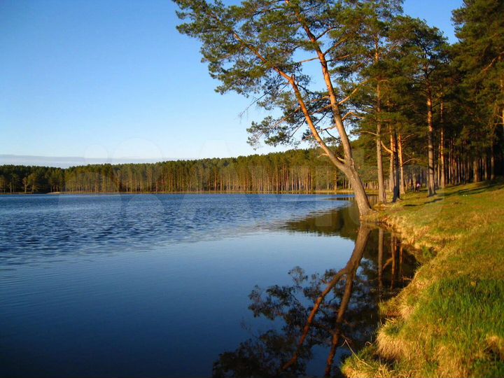 Участок 9 сот. (ИЖС)